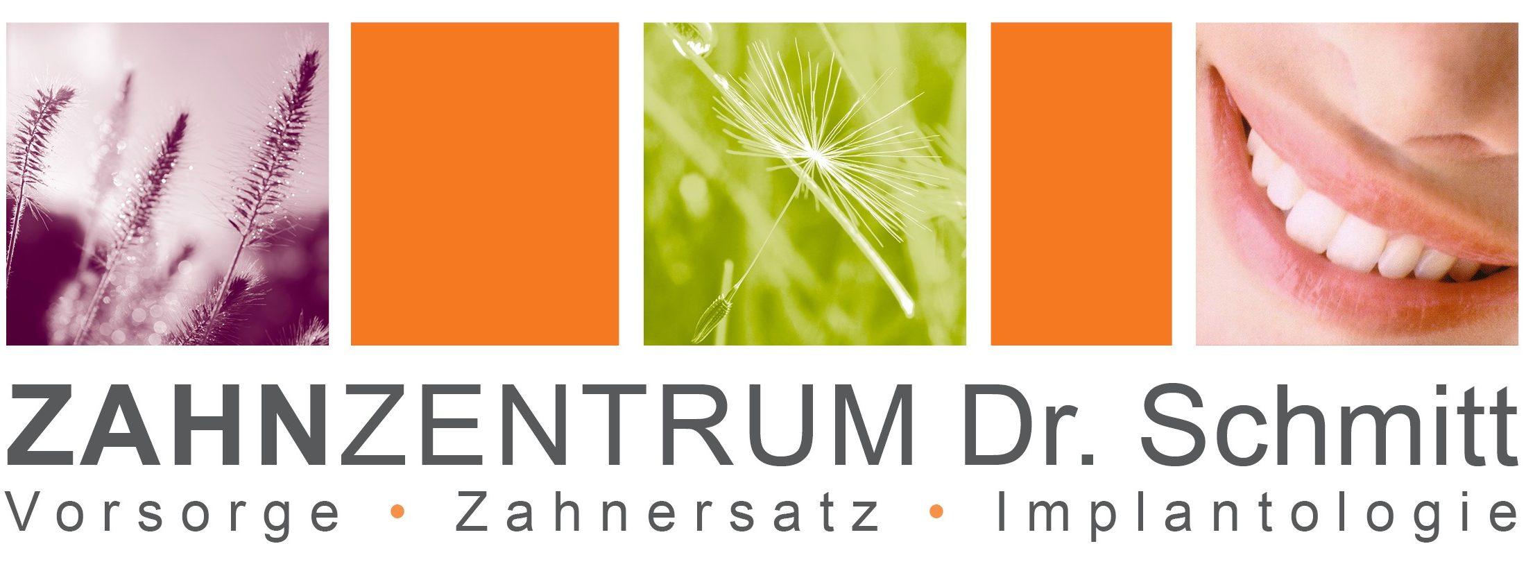 Zahnzentrum Dr. Schmitt